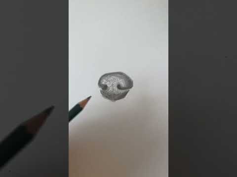 AAArt - Allen Animal Art