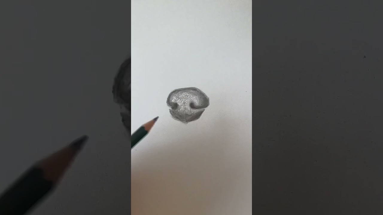 Realistic Dog Nose Drawing with Graphite ✏️