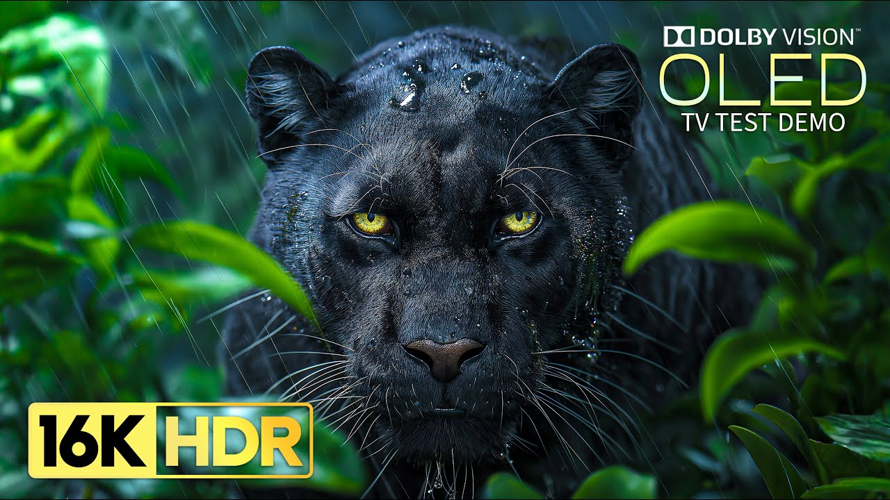 Just Wow 16K HDR Video | 120fps & Dolby Vision 🌟