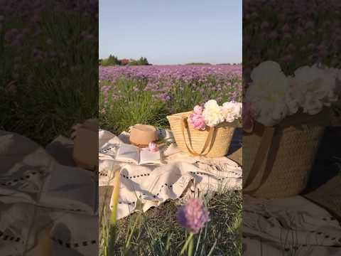 31 days until spring 🌻🪴✨ #shorts