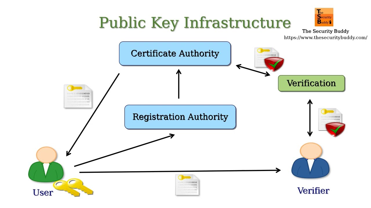 Understanding Public Key Infrastructure (PKI): How It Secures Digital Communications 🔐