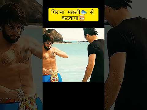 рдкрд┐рд░рд╛рдирд╛ рдордЫрд▓реА рд╕реЗ рдХрд░рд╡рд╛рдпрд╛ рдордЬреЗрджрд╛рд░ рдЕрдиреБрднрд╡! ЁЯРЯ | рдирдИ рдХреЙрдореЗрдбреА рд╢реЙрд░реНрдЯреНрд╕ рдореВрд╡реА рдХрд╛ рд░рд┐рд╡реНрдпреВ