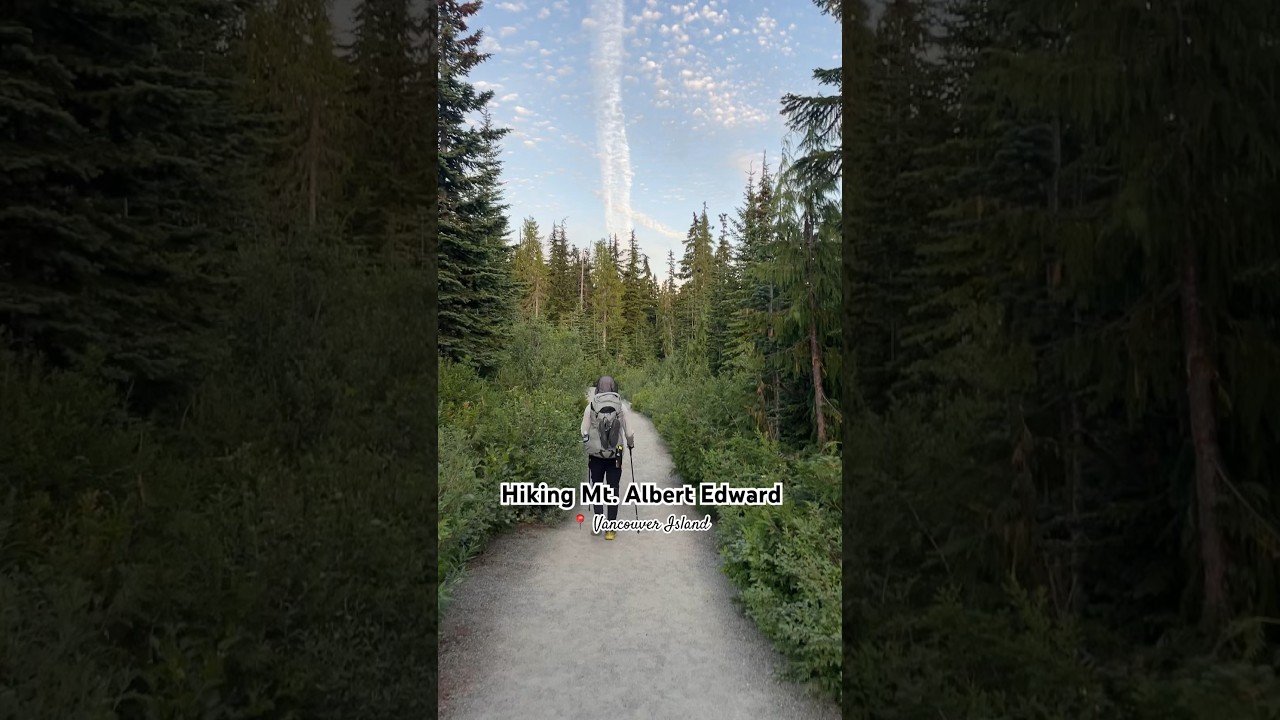 Conquer Mount Albert Edward: An Epic Vancouver Island Hiking Adventure 🥾