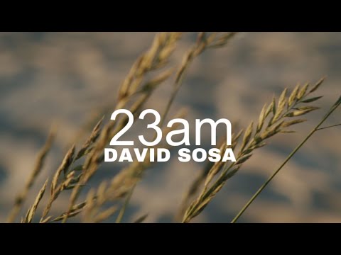 David Sosa - 23am (Official Lyric Video) 🎶