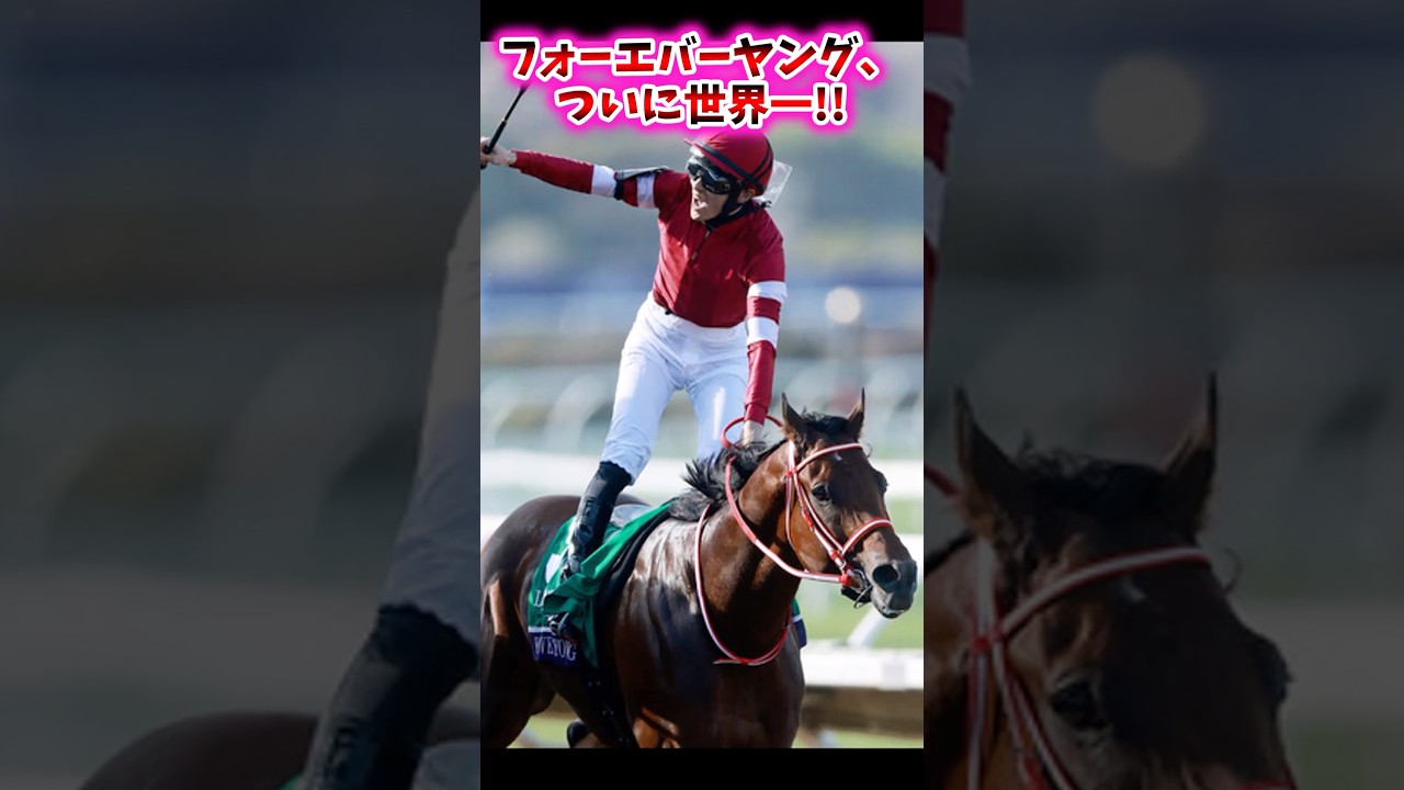 フォーエバーヤングがついに世界一に！【競馬反応集】🏆 #坂井瑠星 #ブリーダーズカップ