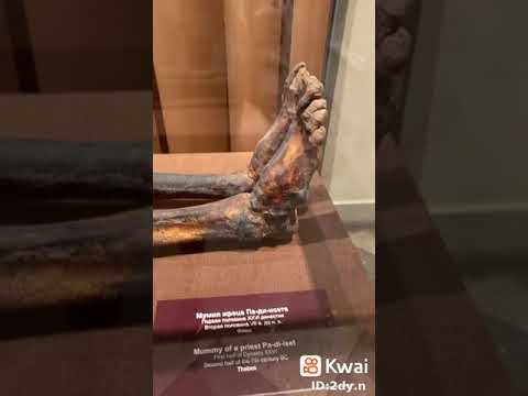 هل تعلم ان هذه جثة(فرعون)هذا عقاب الله على(فرعون)