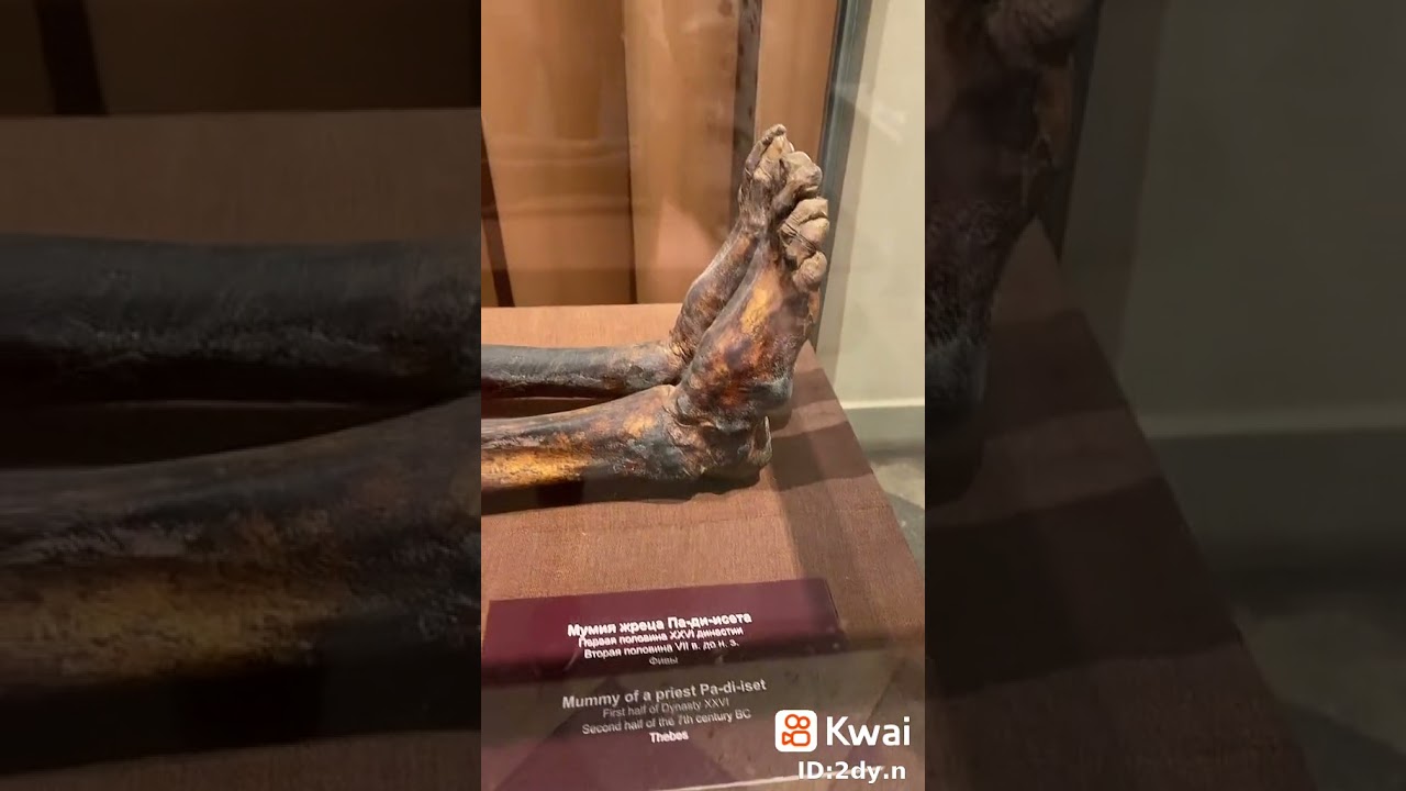 هل تعلم أن هذه هي جثة فرعون؟ اكتشف العقاب الإلهي الذي حل به ⚡