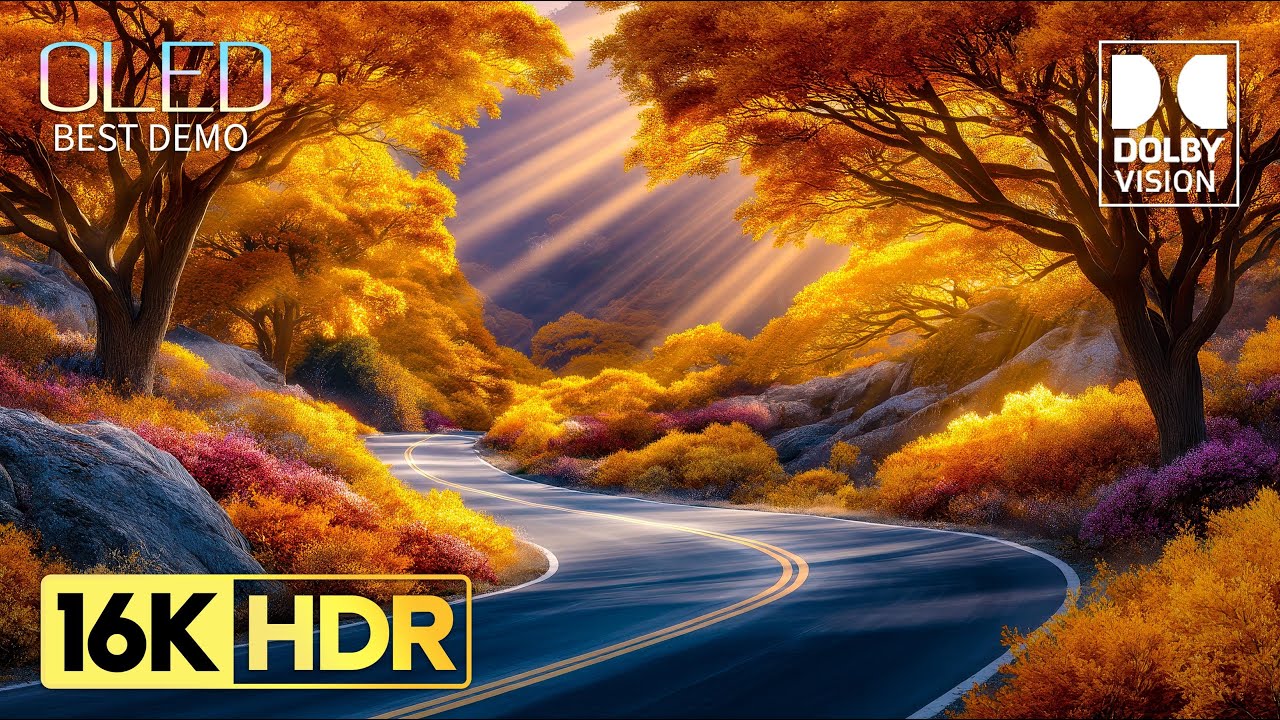 Stunning OLED Demonstration: 16K HDR 120 FPS Dolby Vision Video