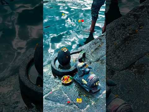 Sawan Status Video ЁЯШН Sawan 2025 VideoЁЯМ╣ Mahadev status тЭгя╕П bholenath status ЁЯТл Mahakal status #shorts