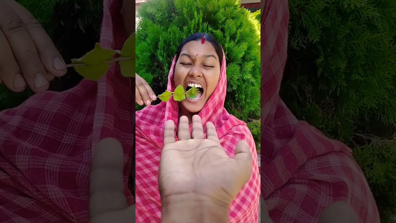 Eclairs & Candy: Sweet Treats 🍓🍒