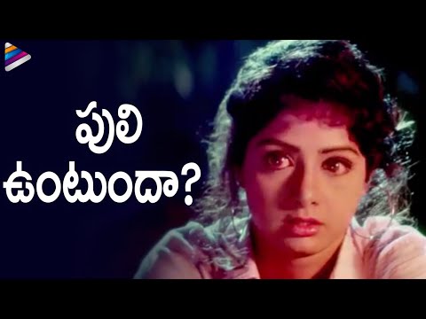 Venkatesh Makes Fun Of Sridevi | Kshana Kshanam Movie Scenes | MM Keeravani | Ram Gopal Varma