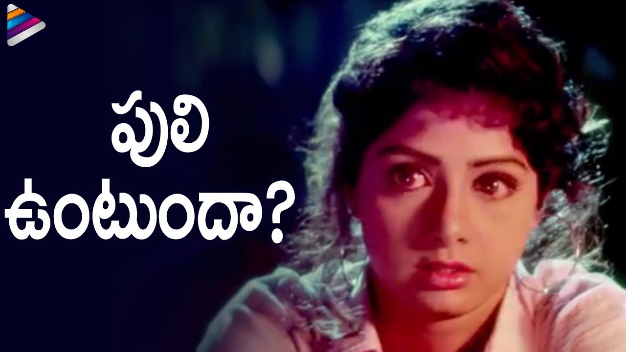 Venkatesh's Hilarious Jokes About Sridevi in Kshana Kshanam π¬