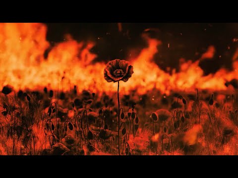 01 - Dizzy DROS - Yasuke (TPS)