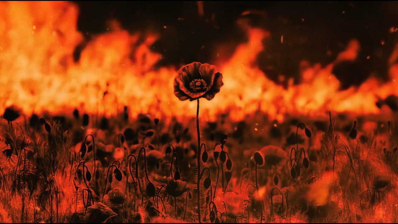 01 Dizzy DROS Unveils New EP 'TPS' with the Track 'Yasuke' 🎶