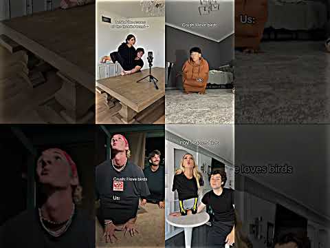 the bird trend #birdtrend