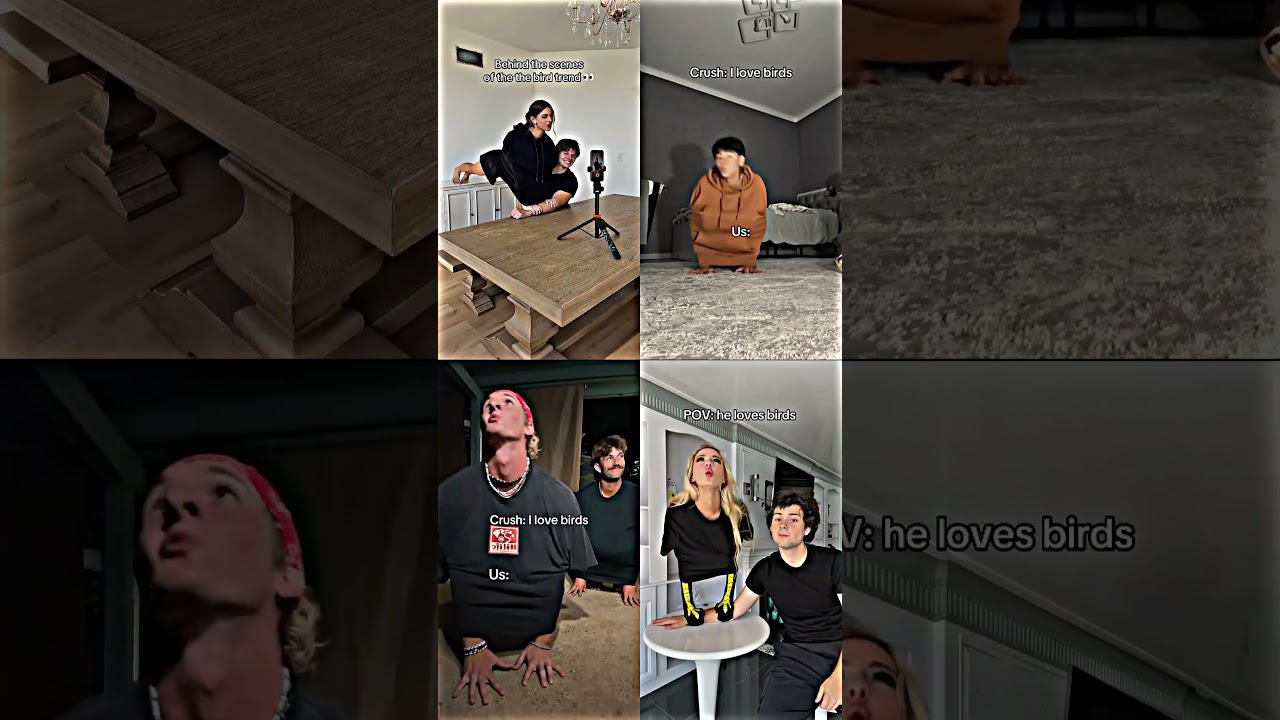 Bird Trend π¦: Tutorial & Behind the Scenes