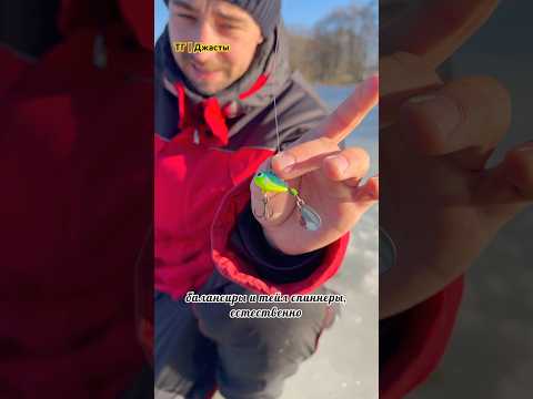 Лучшие приманки для щуки зимой #рыбалка #щука #тейлспиннер #ufstudio