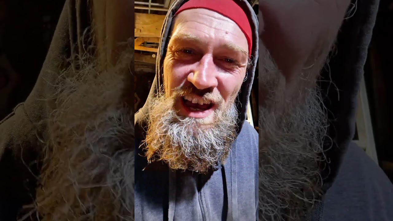 Nouvelles positives pour l'environnement et le bien-être