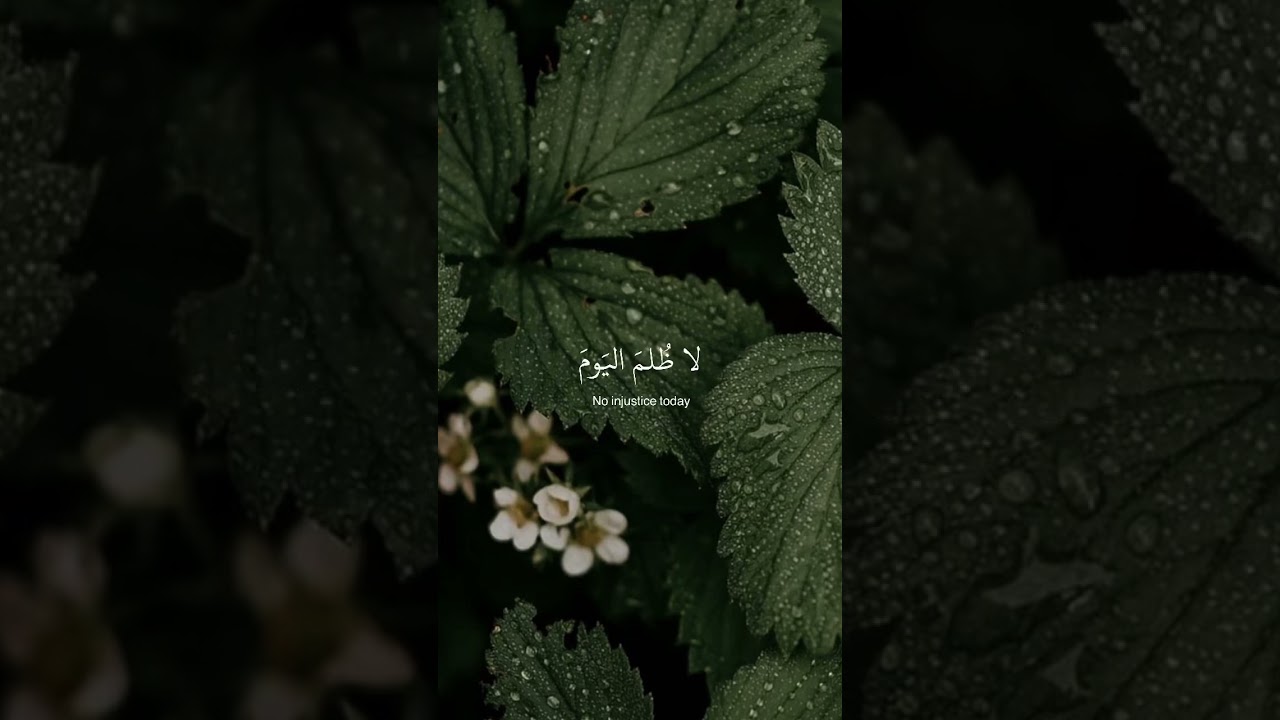 حالات واتس قرآن بصوت محمد اللحيدان 🎧