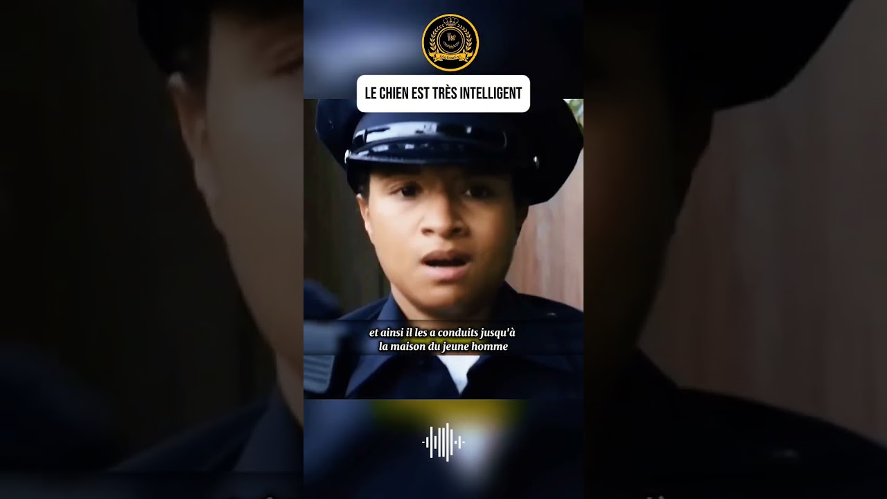 Le chien intelligent dans le film français 🐶