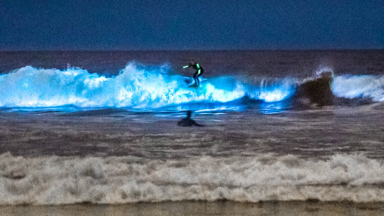 Experience the Magic: California’s Stunning Bioluminescent Beach 🌊