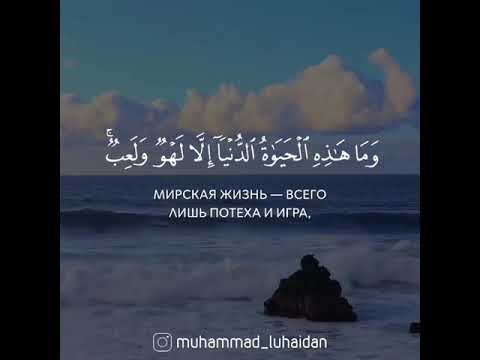 حالات واتس دينية للشيخ محمد اللحيدان ✨