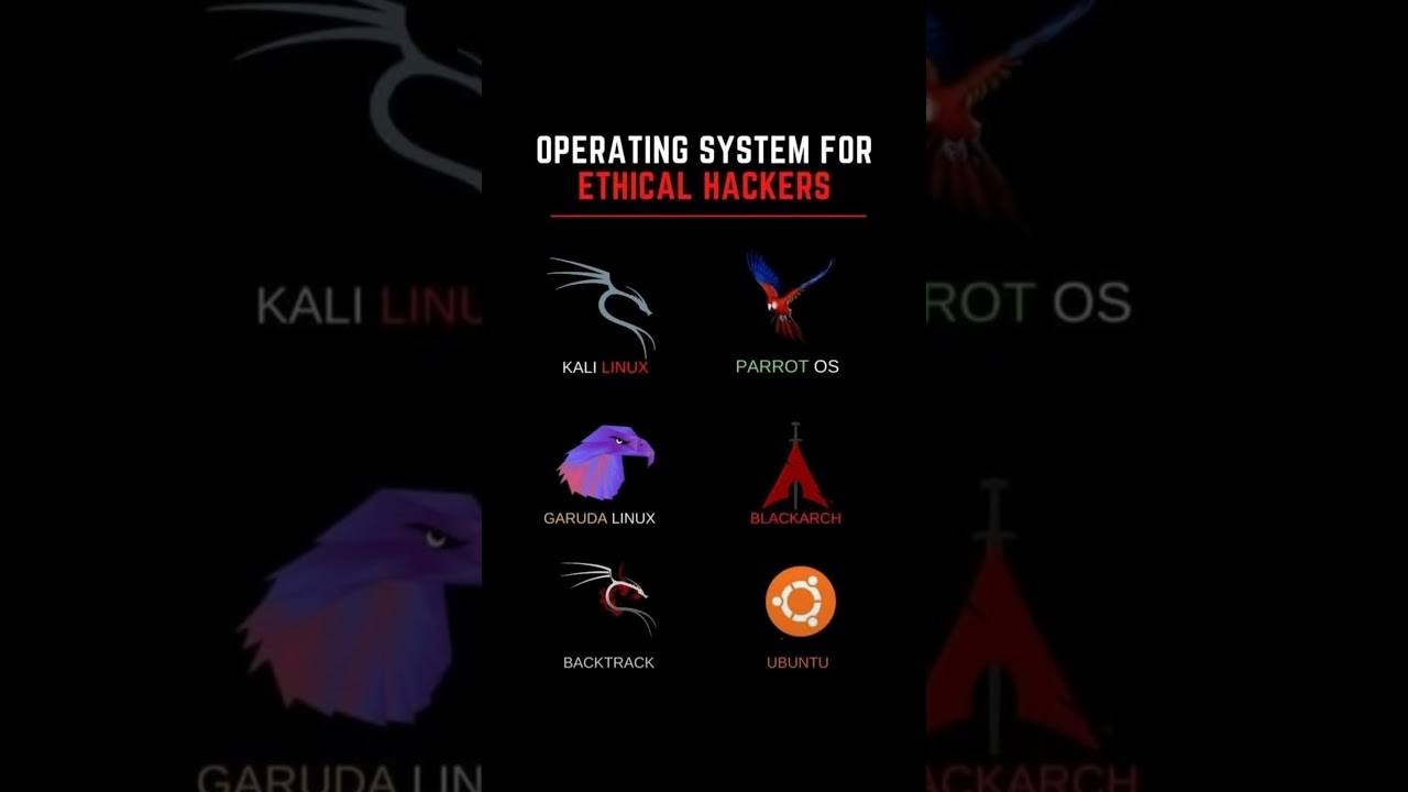Top Operating Systems Every Hacker & Security Expert Must Know ๐