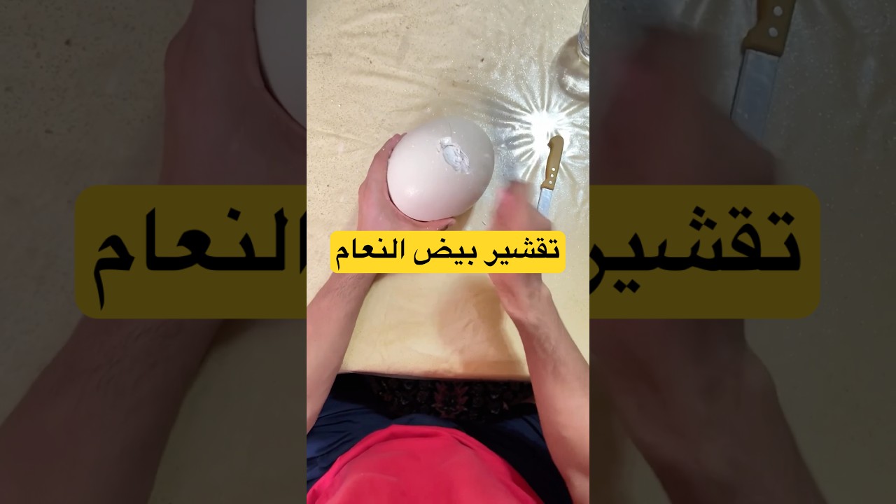 تجربة تقشير بيض النعام في مطاعم الشوارع 🥚