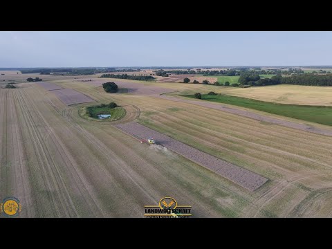 Unsere letzten Raps Flächen 2 Mähdrescher + Fricke Claas Vorführung NEW 8700 Raps Landwirtschaft