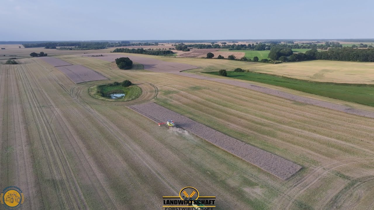 Neue Rapsflächen: 2 Mähdrescher & Fricke Claas Vorführung 🚜 | Landwirtschaft im Fokus
