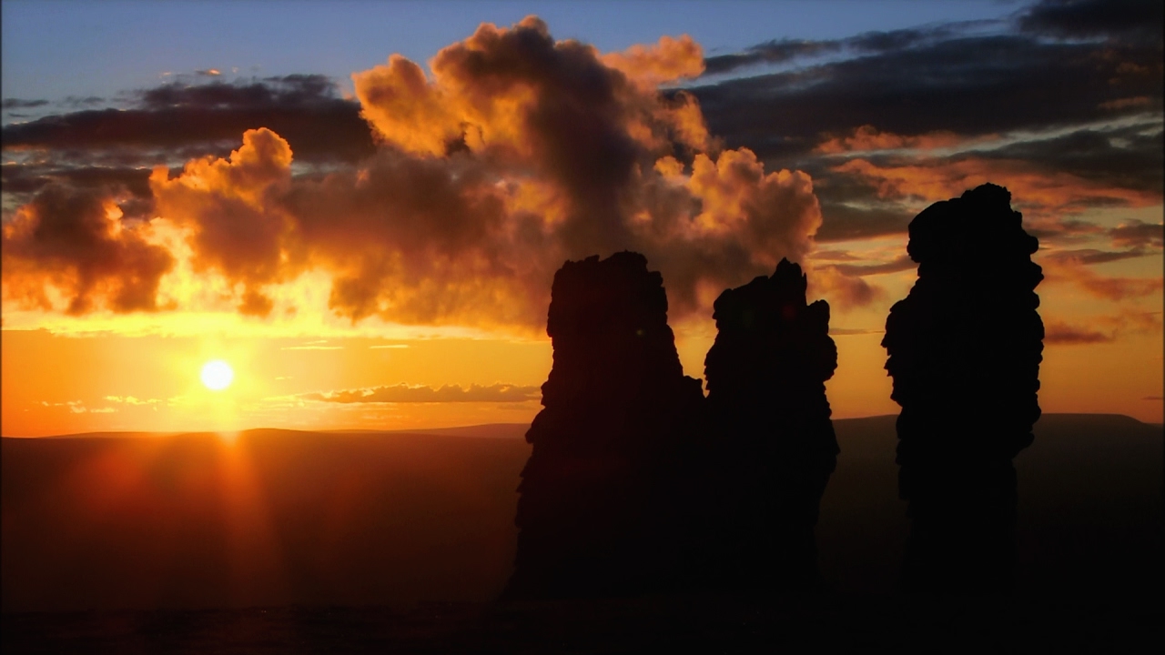 Pink Floyd - Sorrow 🎶