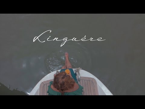 CHERIFOU & JOB SA BRAIN ( Linguére )