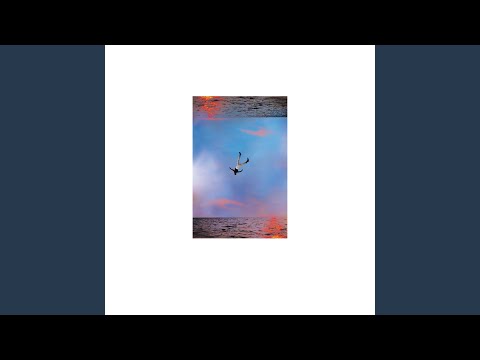 The Highs & The Lows