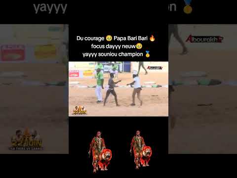 papa Bari Bari 🔥 vs Alioune seye jr