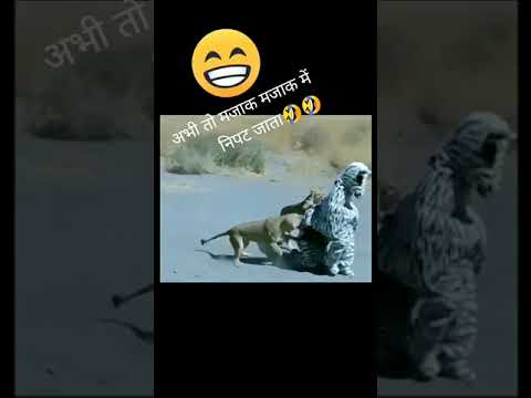 Ramez galal Prank Shoot Video 😂 #Shorts