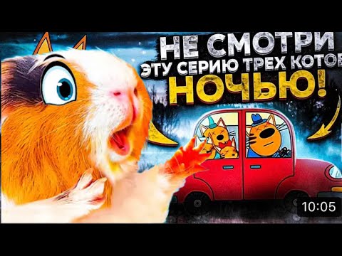 НИКОГДА НЕ СМОТРИ ЭТУ СЕРИЮ ТРЁХ КОТОВ В 3:00 НОЧИ ! **Вера в Шоке** Морская Свинка Бузя и Кузя Вера