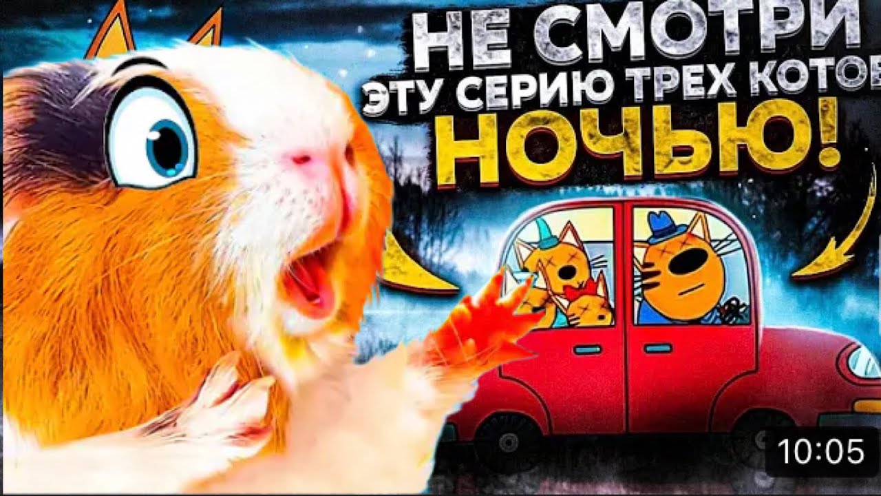 Осторожно! Не смотри эту серию трёх котов в 3:00 ночи! 🐾
