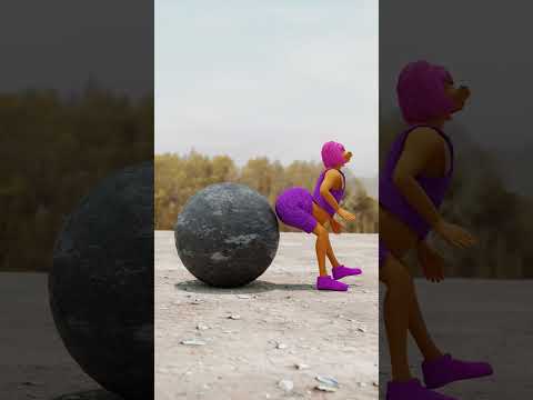 Golden wish (A or B?) | Funny Animation😂