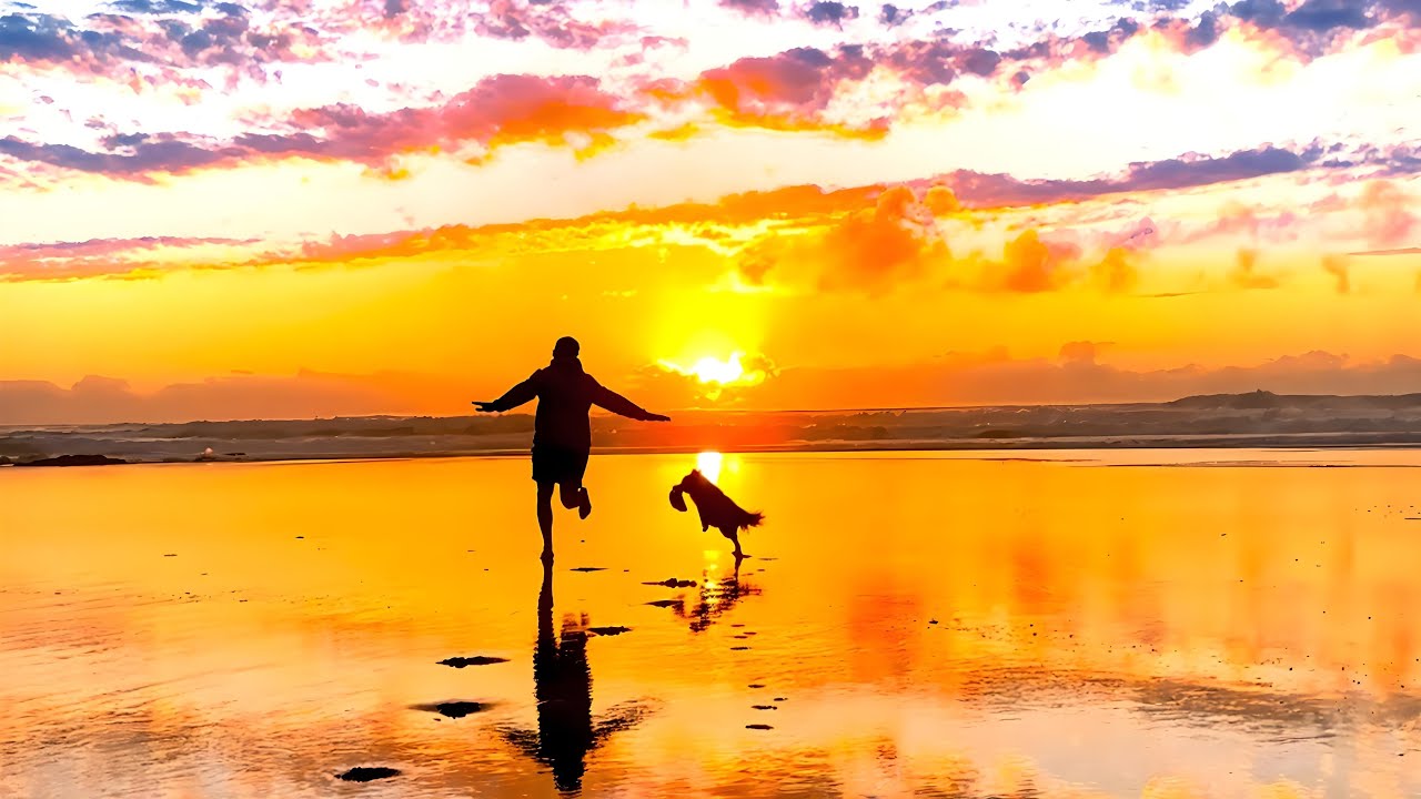 Bombai - Festival 🎶 Lyric Video | Altafonte 2024