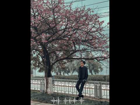 Mỗi Người Một Nơi - Ngôi Nhà Hoa Hồng Remix 🎶