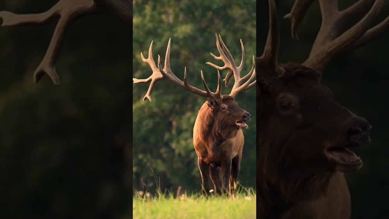 Explore New Discoveries on the Channel 🌟