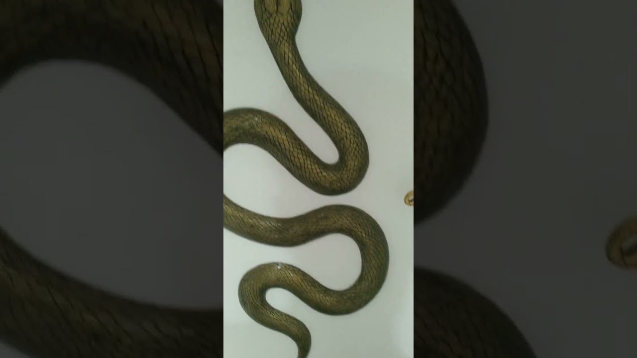 Интересный проект ремонта арт-объекта 🎨