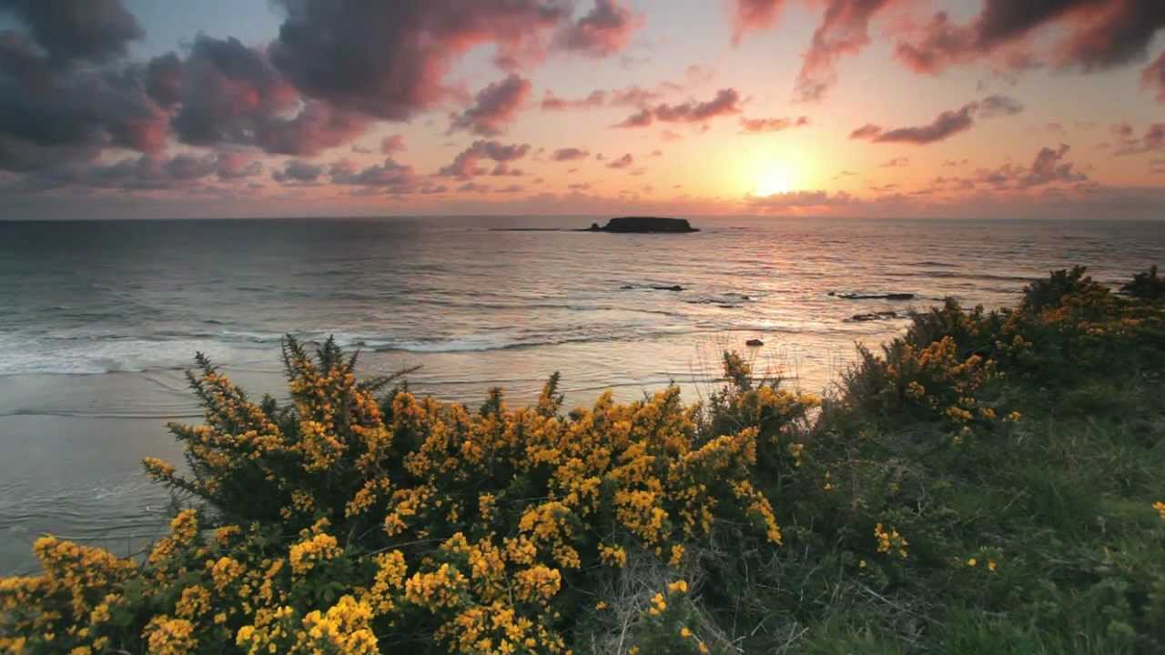 Dan Fogelberg - Longer (HD HQ Audio) 🎶