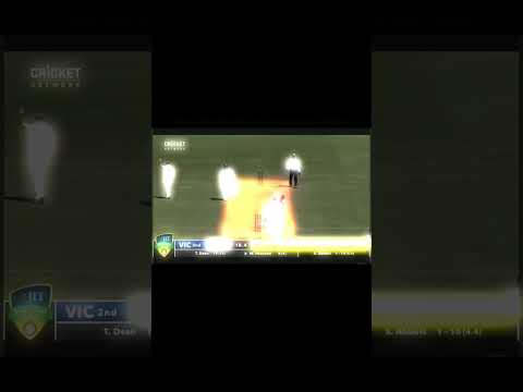 Sean Abbot bowls a bouncer lead to philip Hughes death