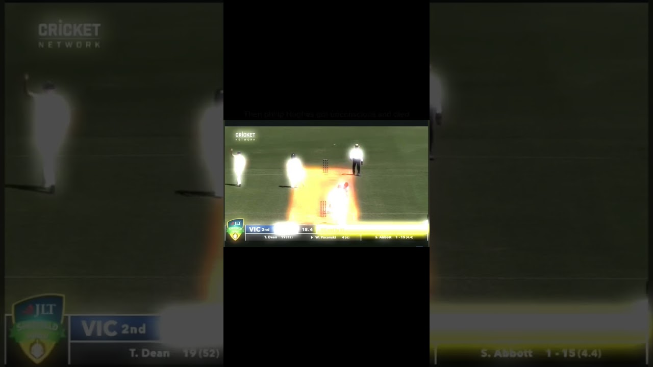 Sean Abbott's Bouncer Led to Philip Hughes's Death