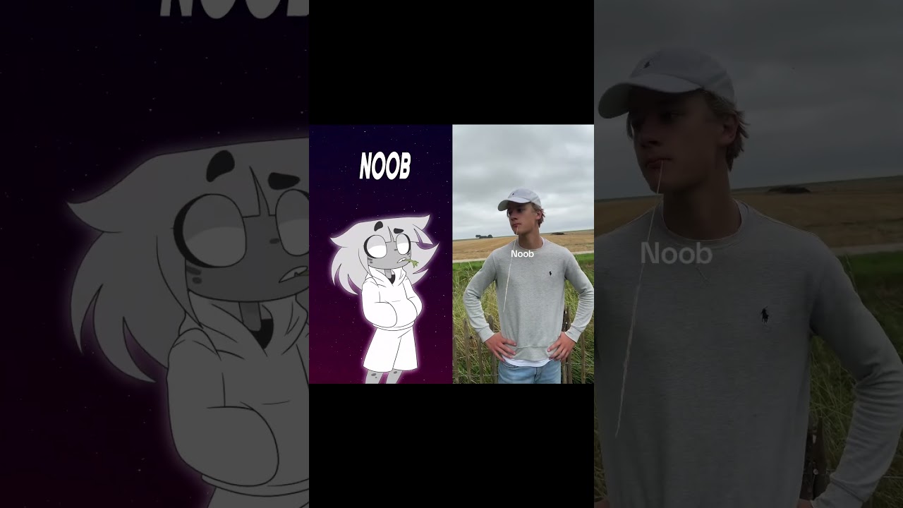 Noob, Pro & Hacker Showdown 🌍