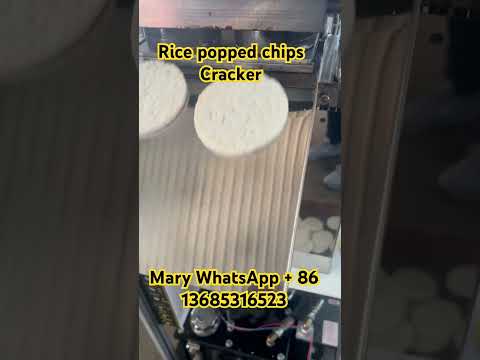 Rice popped chips rice cracker making machine 90mm diameter rice  cake #machine #factory