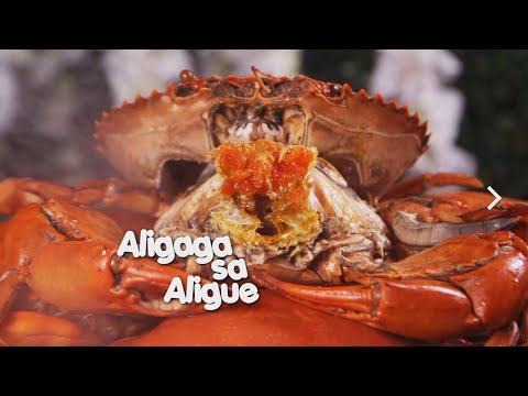 SIMOT-SARAP ALIGUE! | Kapuso Mo, Jessica Soho