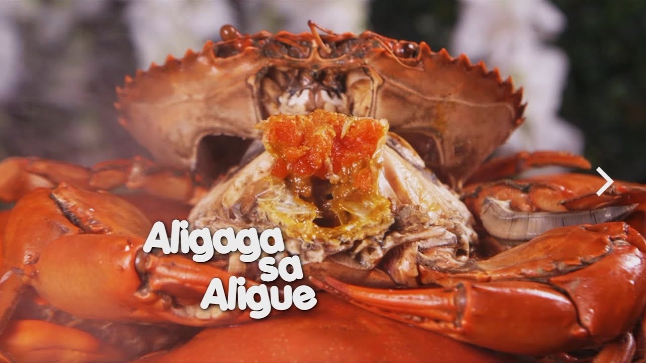 Simot-Sarap Aligue! π½οΈ Discover Pampanga & Negros Occidental's Rich Flavors