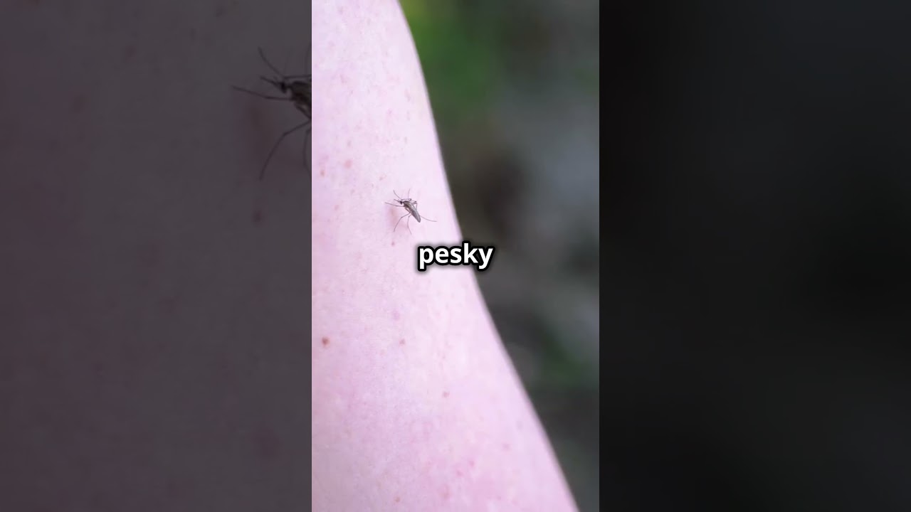 No See Ums: Tiny Pests Explained 🦟